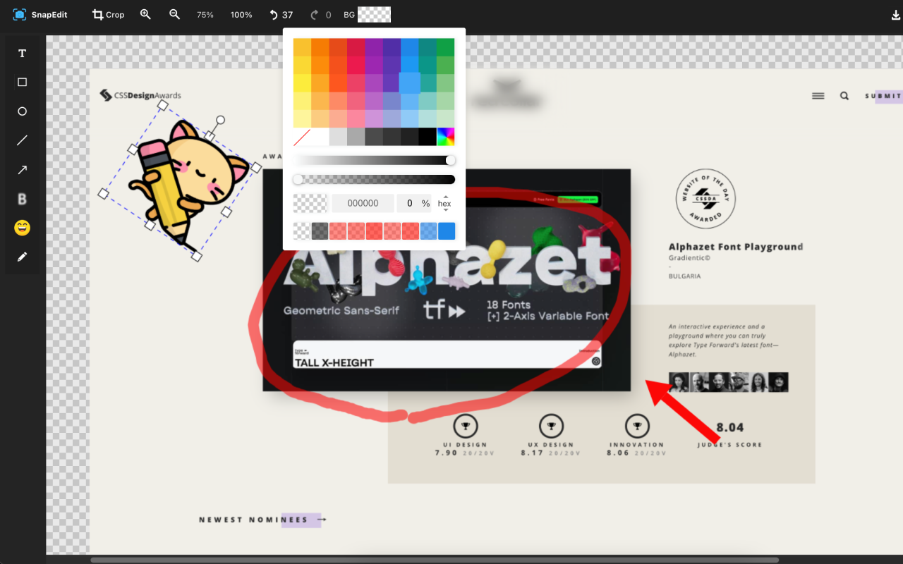 SnapEdit editor view